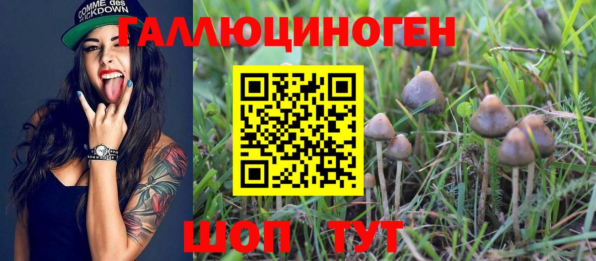 Псилоцибиновые грибы MAGIC MUSHROOMS  Вход с VPN  Верхний Уфалей  наркотики  Псилоцибиновые грибы мухоморы 