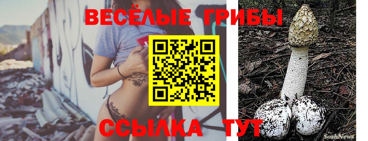 Галлюциногенные грибы мицелий Верхний Уфалей